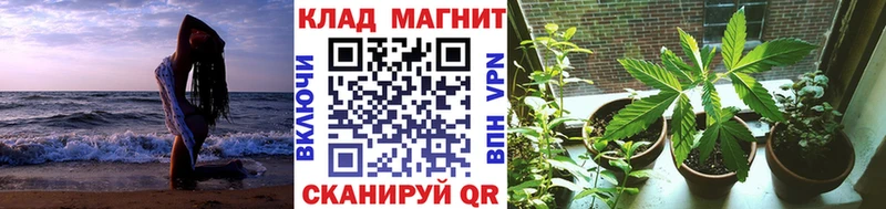 Названия наркотиков Елец Гашиш Псилоцибиновые грибы Меф MDMA A-PVP COCAIN