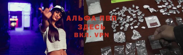прущая мука Вязьма
