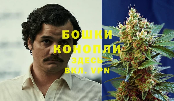 спиды Новодвинск