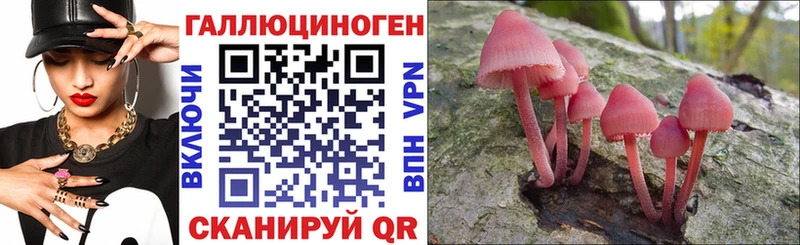 Псилоцибиновые грибы прущие грибы  Елец 