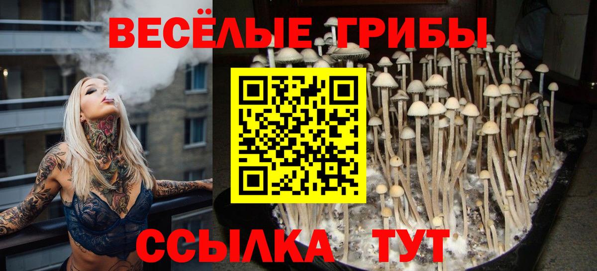 Галлюциногенные грибы прущие грибы Елец