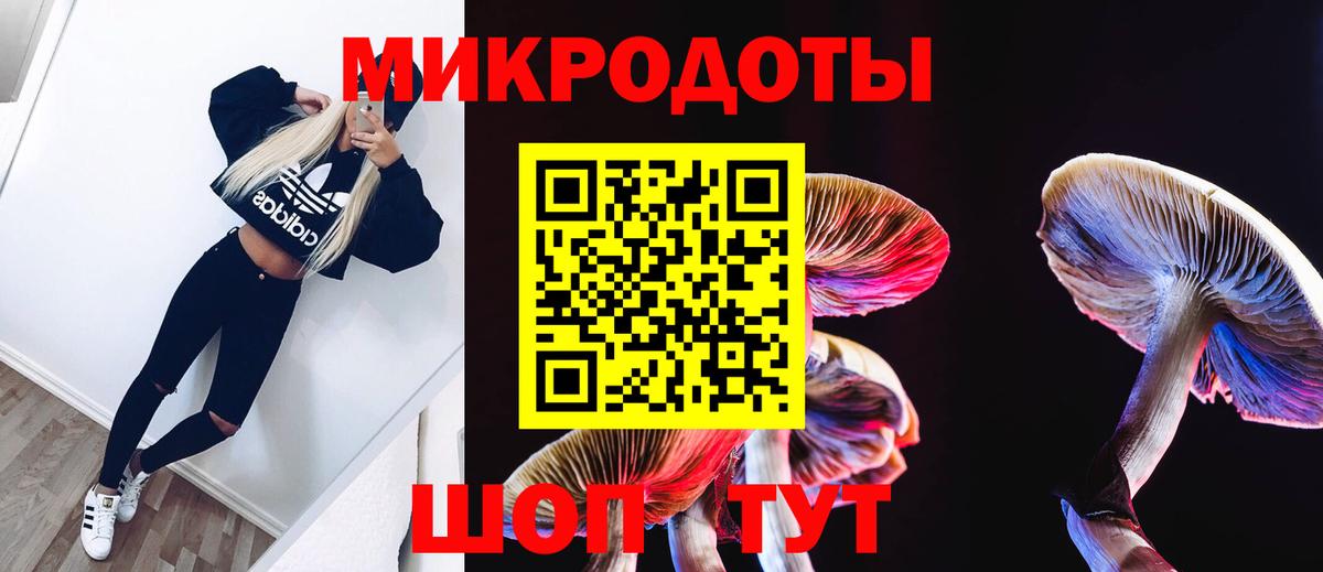 Елец  Псилоцибиновые грибы MAGIC MUSHROOMS  Вход с VPN 