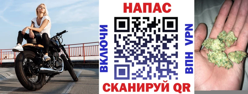 Канабис план  Елец 